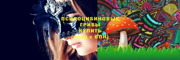 спайс Аркадак