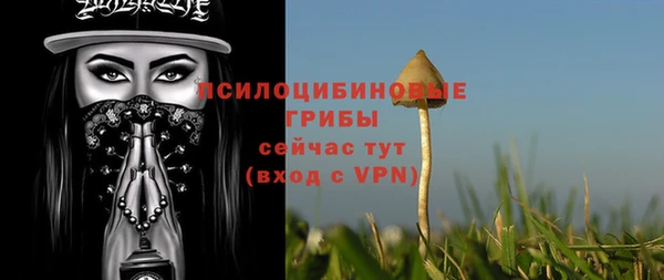 первитин Арсеньев