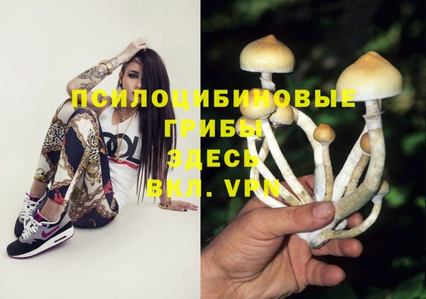 гидропоника Армянск