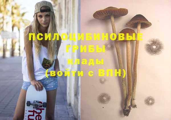 первитин Арсеньев